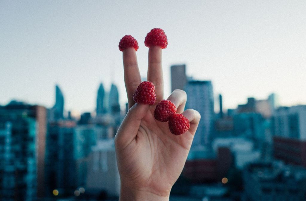 Home From Home? Yes but in a Tea Cup - Daily Shatzi: Saturday Theme