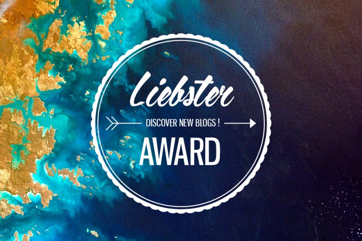 http://www.lesmoustachesenvadrouille.com/liebster-award-2016/