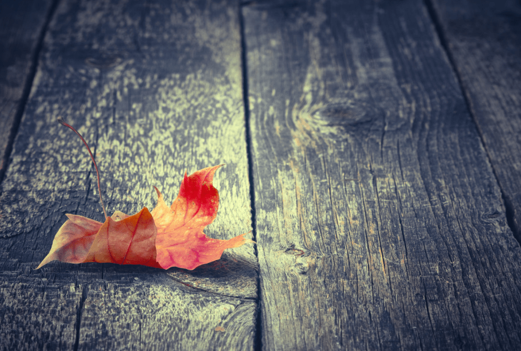 October Favorites |“Start The Month With” Favorites&nbsp;Series