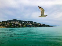 c2f835cf-8d14-435e-ae38-37422be18f42